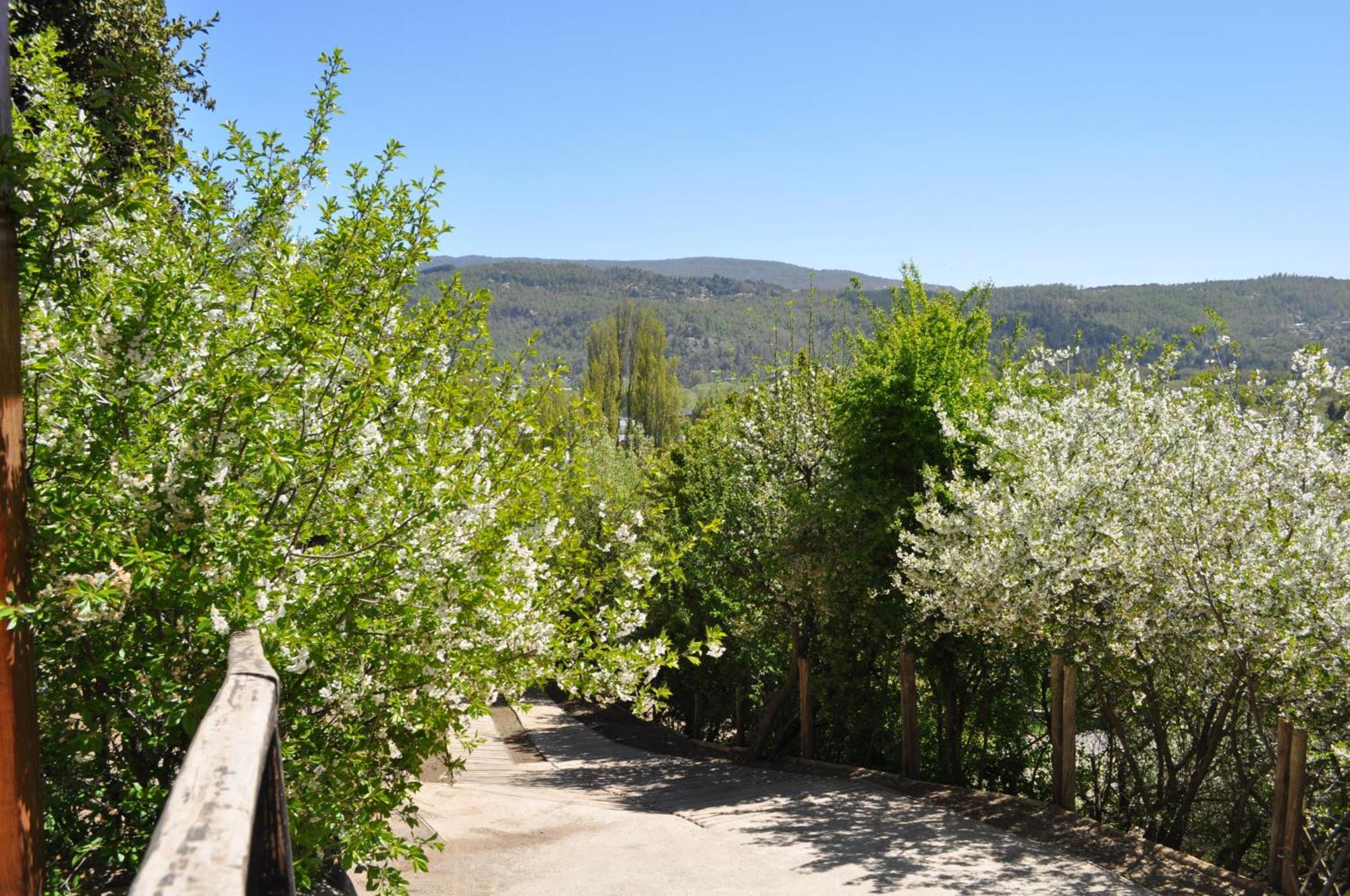 Melodia Natural En San Martín de los Andes 외부 사진