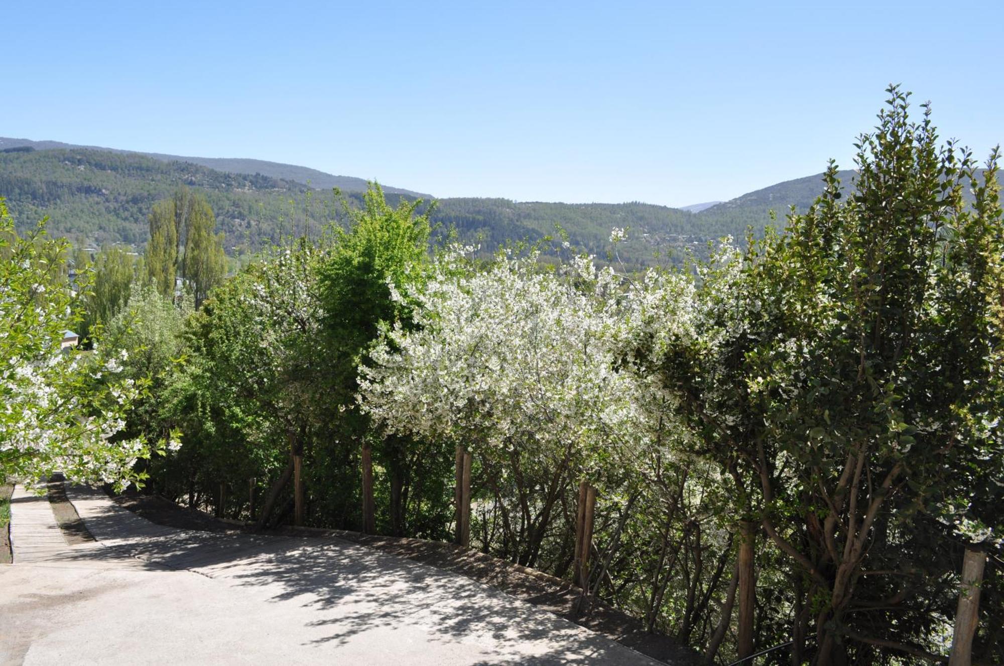 Melodia Natural En San Martín de los Andes 외부 사진